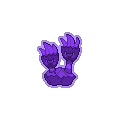 Shadow Binacle